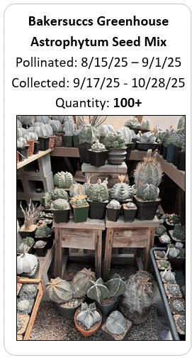 Bakersuccs Greenhouse Astro Seed Mix 100+