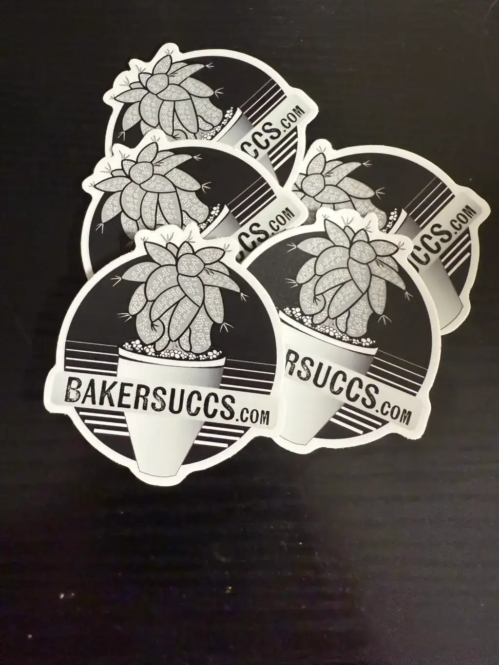 Bakersuccs Ornatum Kikko Sticker