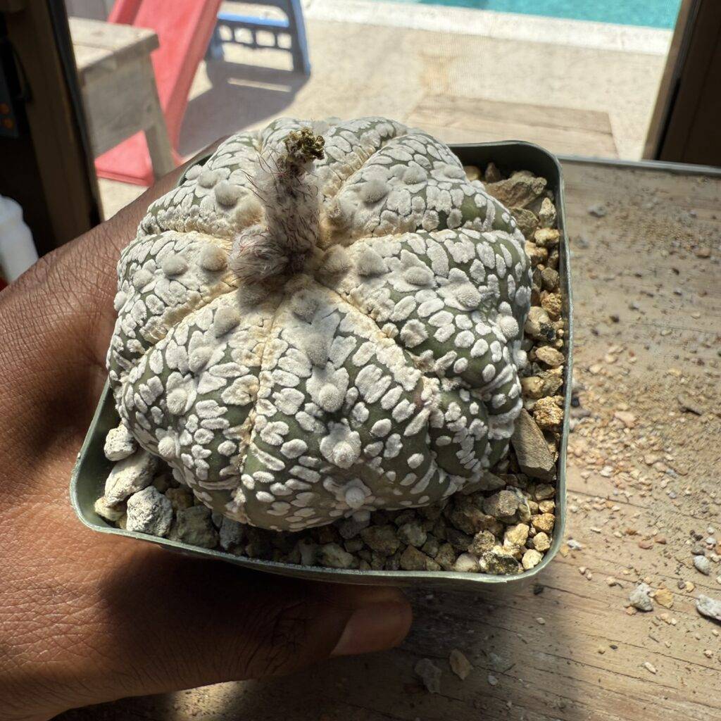 Shop – Bakersuccs